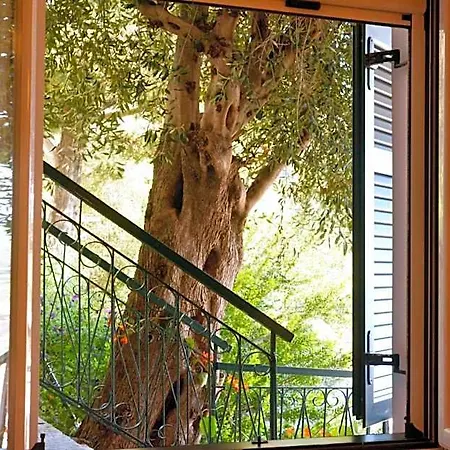 Glyfada Gorgona 3*