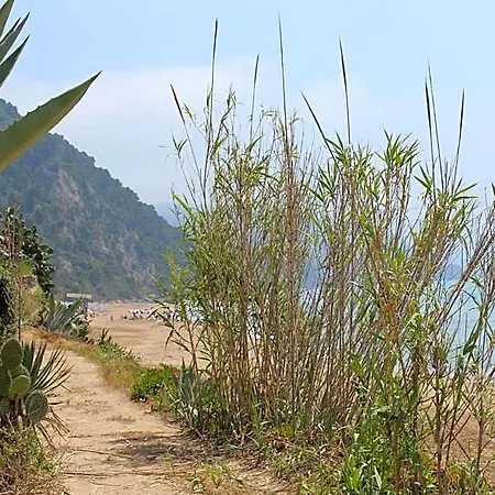 Glyfada Gorgona Pelekas